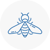 Bee Nest Removal Becontree