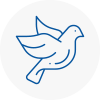 Bird Prevention Becontree