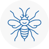 Becontree Hornet Nest Removals