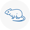 Rat Control Becontree