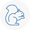 Becontree Rodent Removals