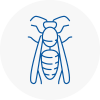 Becontree Wasp Nest Removal